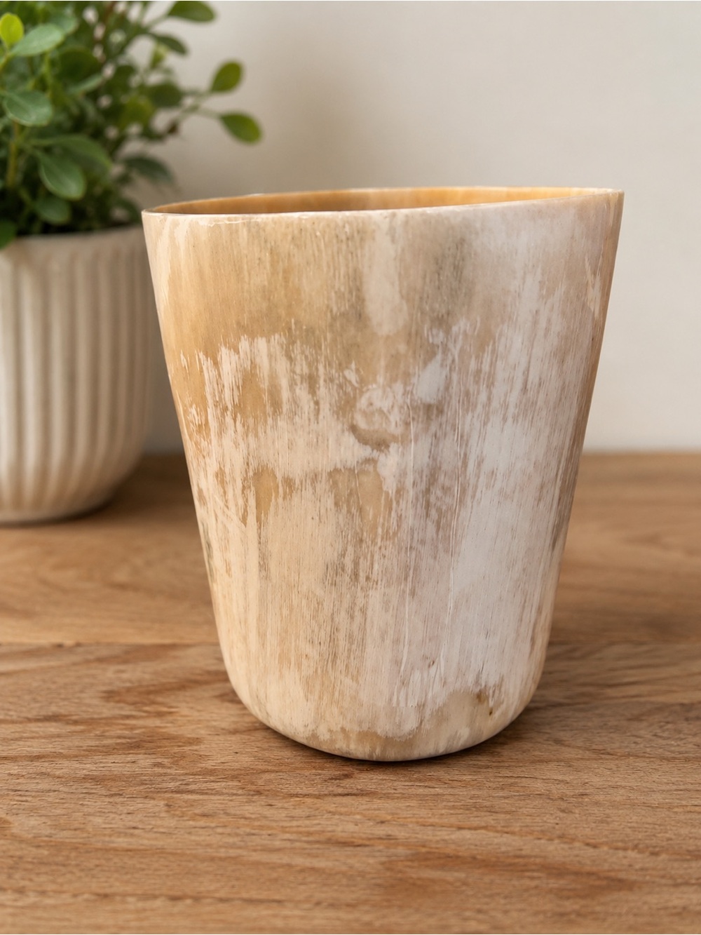 Pigeon & Poodle Conway African Horn Tumbler